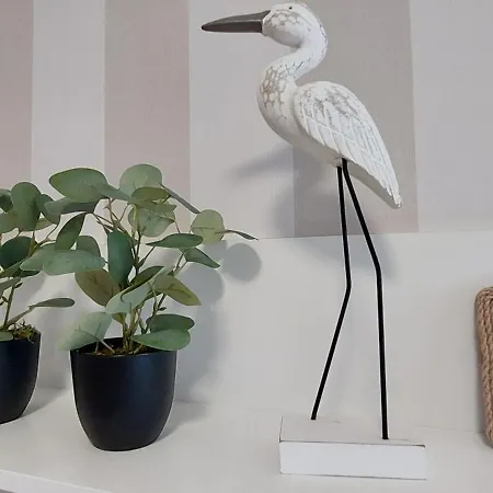 Club 218 Wellness Sunset Gold